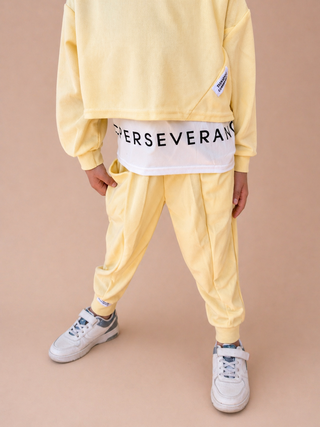 ENSEMBLE PERSEVERANCE